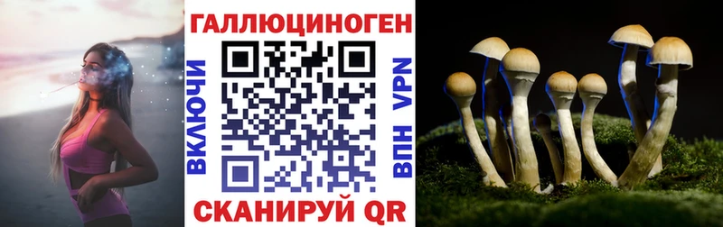 Псилоцибиновые грибы Psilocybe  Новороссийск 