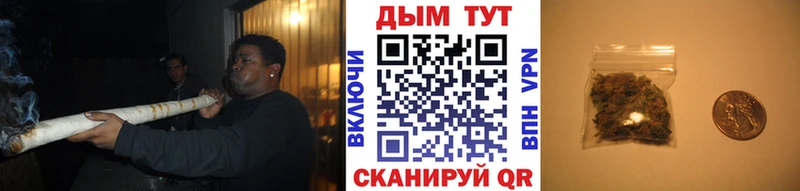 Бошки марихуана Bruce Banner  kraken сайт  Новороссийск 
